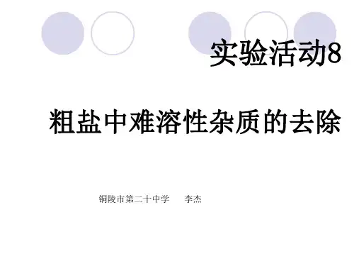 课件 实验活动8 粗盐中难溶性杂质的去除