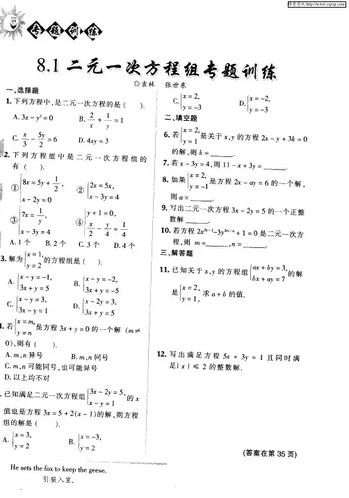 8.1二元一次方程组专题训练