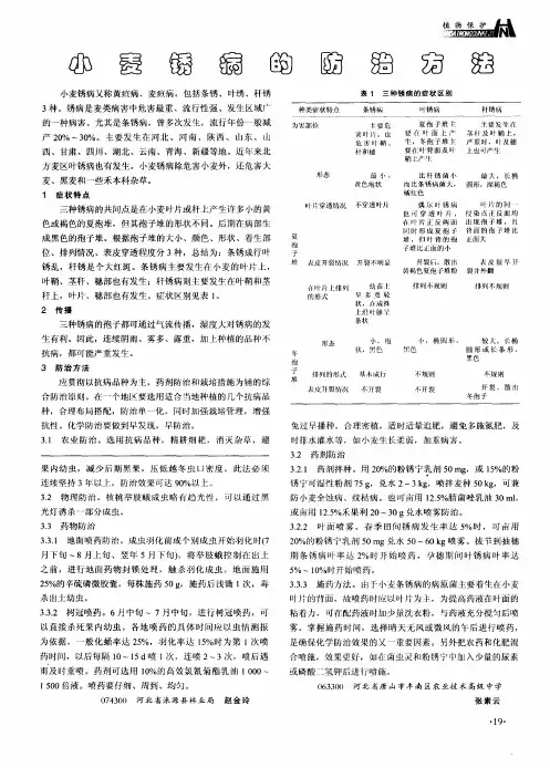 小麦锈病的防治方法