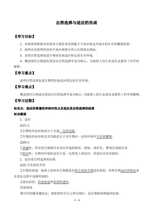 人教版(2019)生物必修2：6.2 自然选择与适应的形成  学案