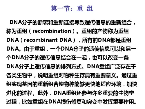 第五章 DNA重组