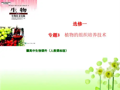 人教版高中生物选修1课件：专题3 植物的组织培养技术(选修一)