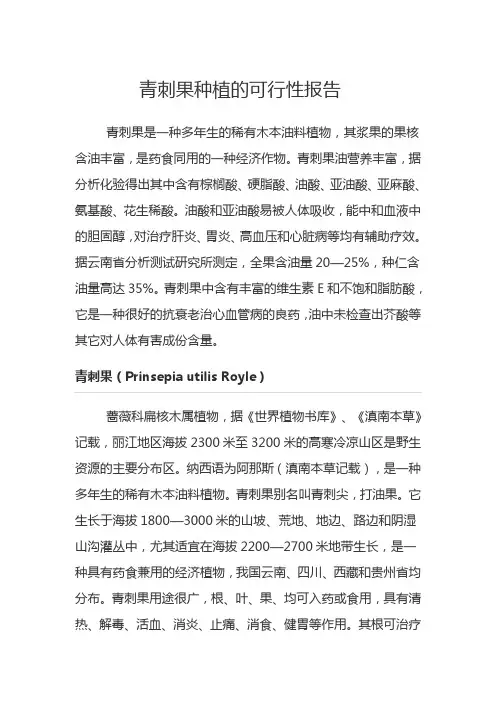 青刺果种植的可行性报告