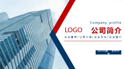 人寿保险公司简介ppt