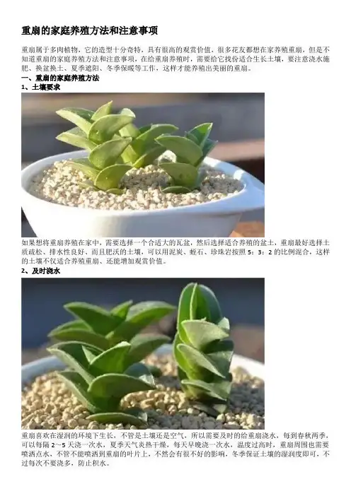 重扇的家庭养殖方法和注意事项