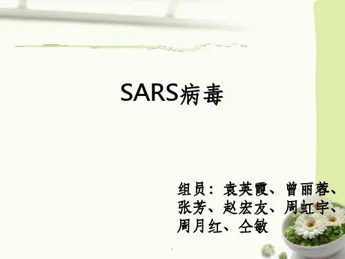 SARS病毒