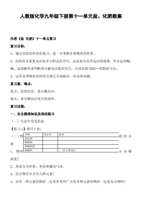 人教版化学九年级下册第十一单元盐、化肥教案