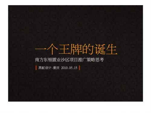 重庆南方东银置业沙区项目推广策略思考