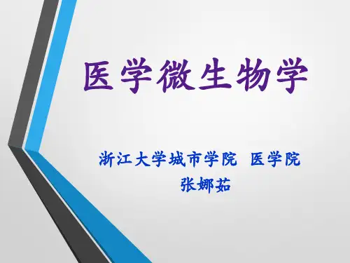 弧菌属