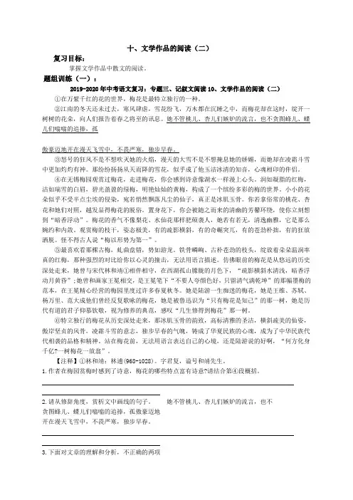 2019-2020年中考语文复习：专题三、记叙文阅读10、文学作品的阅读(二)