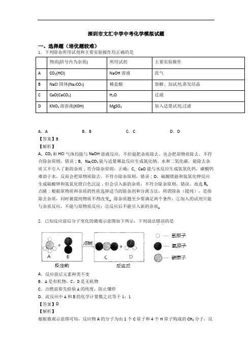 深圳市文汇中学中考化学模拟试题