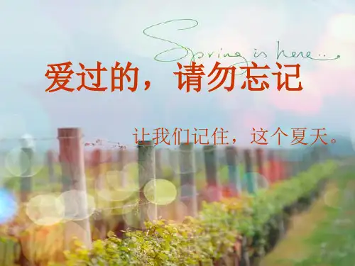 毕业主题班会(共24张PPT)