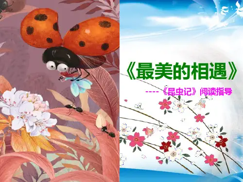 人教版八年级上册语文第五单元名著导读《《昆虫记》:科普作品的阅读》课件 (共25张PPT)(最新版推荐下载)