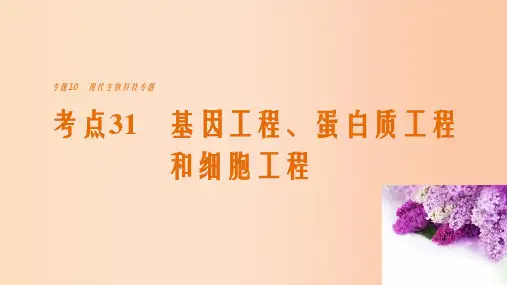 高考生物考前3个月专题复习 专题10 现代生物科技专题 考点31 基因工程、蛋白质工程和细胞工程课件