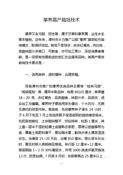 荸荠高产栽培技术