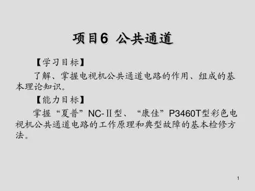 电视机原理与维修项目6 公共通道