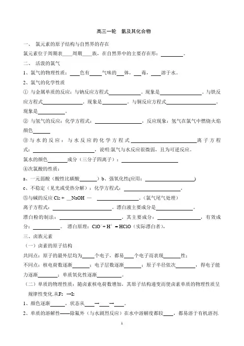 氯及其化合物知识点