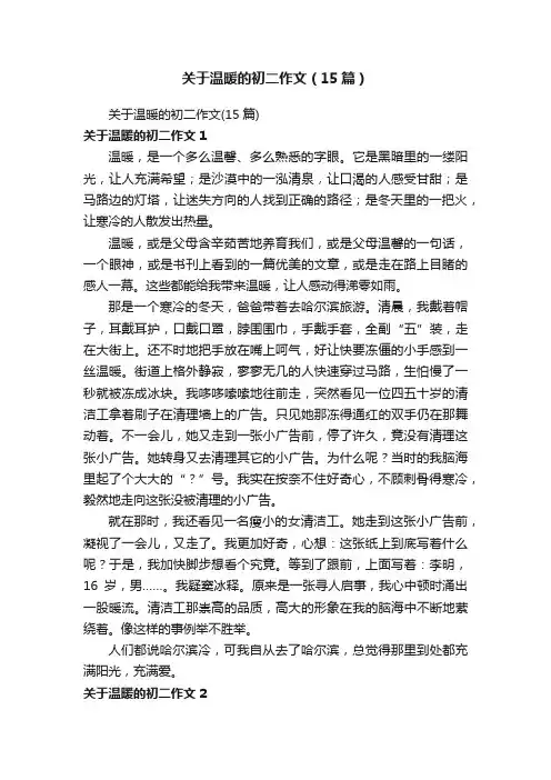 关于温暖的初二作文（15篇）