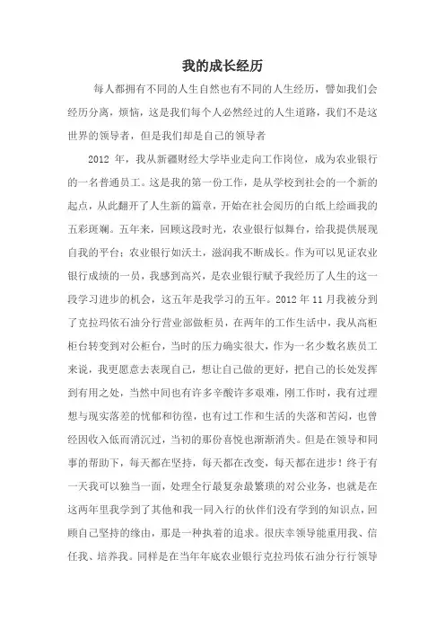 个人成长经历 2