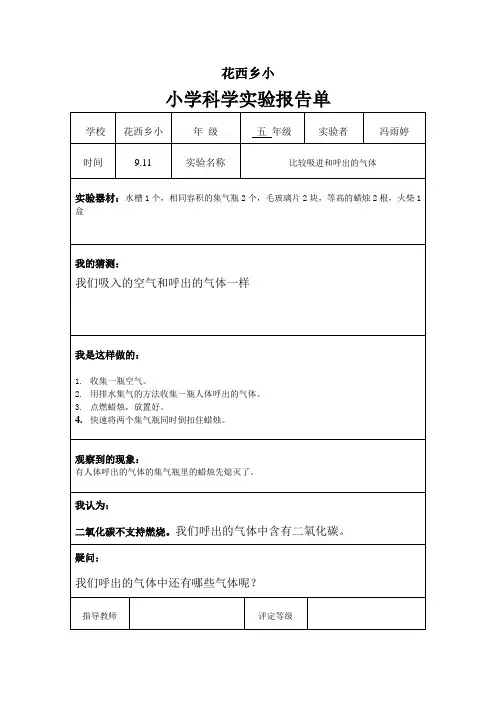小学科学实验报告