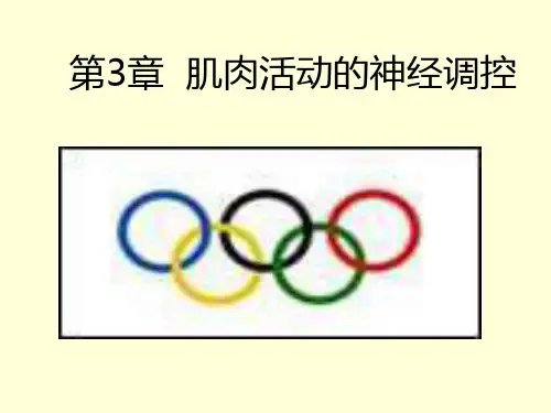 肌肉运动的神经控制