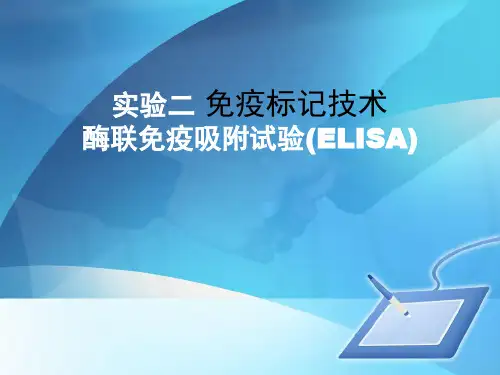 实验二 免疫标记技术 酶联免疫吸附试验(ELISA)
