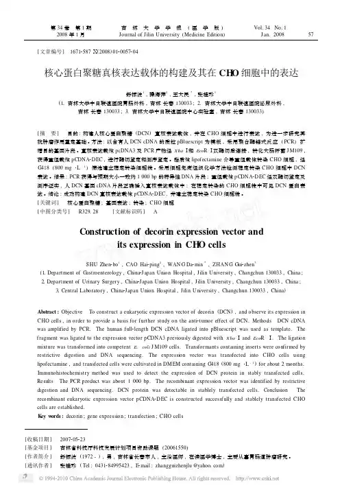 核心蛋白聚糖真核表达载体的构建及其在CHO细胞中的表达