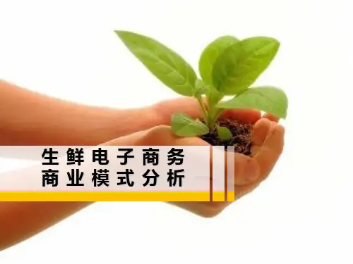 020生鲜电子商务商业模式精品PPT课件