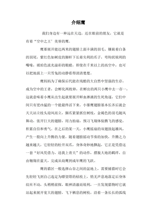 介绍鹰