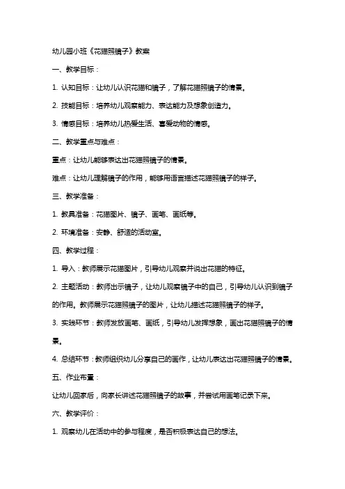 幼儿园小班《花猫照镜子》教案 2