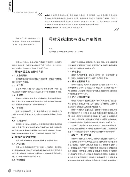 母猪分娩注意事项及养殖管理