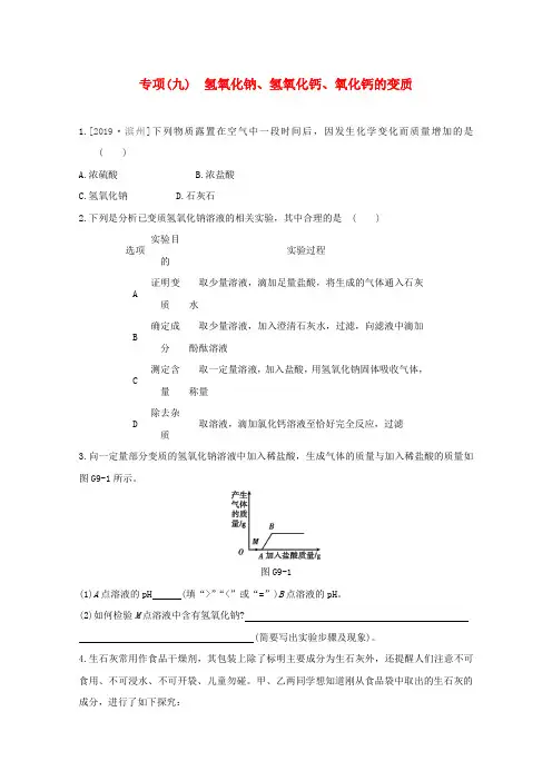 2020年中考化学专项复习：09氢氧化钠、氢氧化钙、氧化钙的变质试题