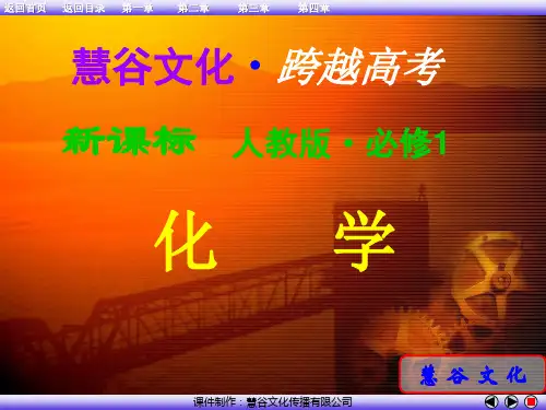 人教版高中化学必修1全册课件