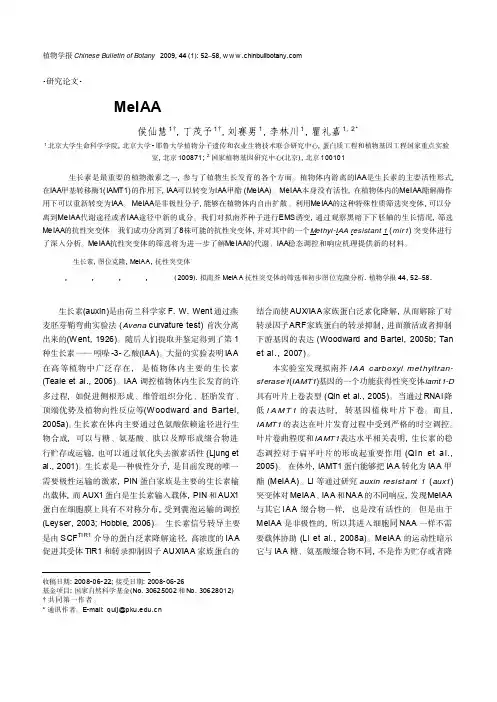拟南芥 MeIAA 抗性突变体的筛选和初步图位克隆分析