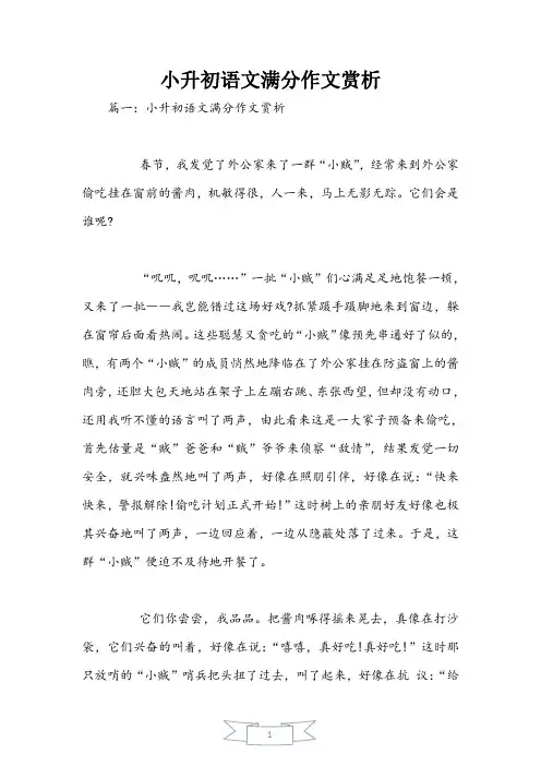 小升初语文满分作文赏析