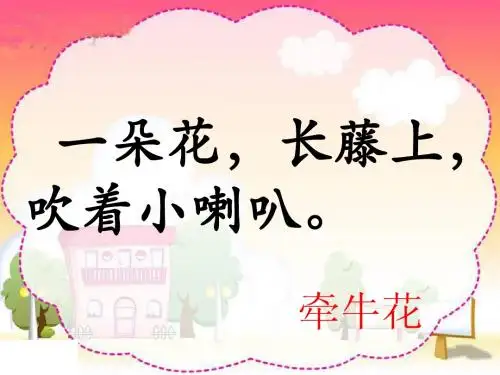 丁丁和牵牛花_北师大版_一年级下册