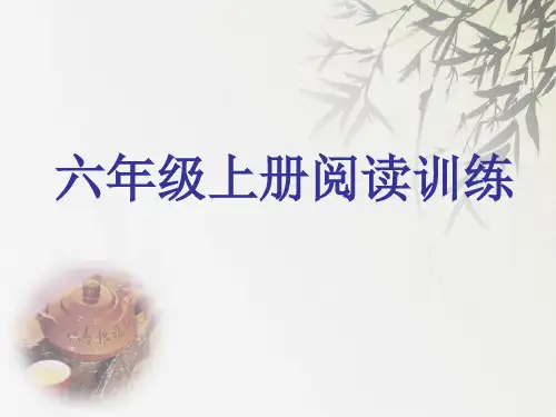 六年级语文课外阅读训练 PPT课件