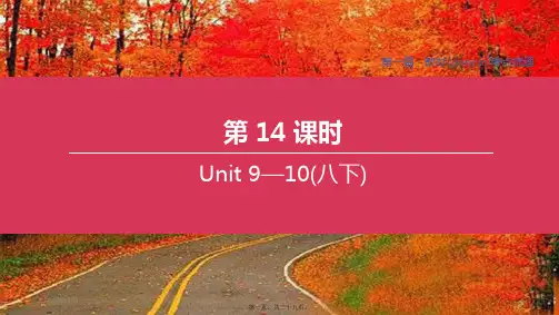 中考英语复习方案第一篇教材考点梳理第14课时units910八下