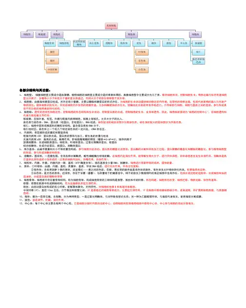 真核细胞的结构与功能