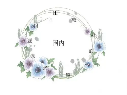 石墨烯著名的组简报