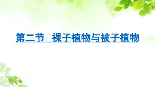 人教版七年级生物圈中的绿色植物《生物圈中有哪些绿色植物种子植物第二课时》(PPT课件)