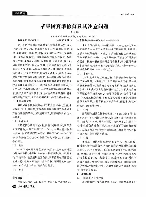 苹果树夏季修剪及其注意问题