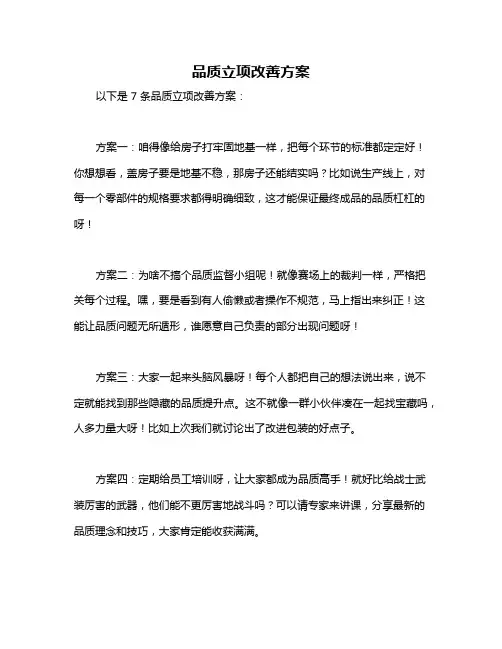 品质立项改善方案