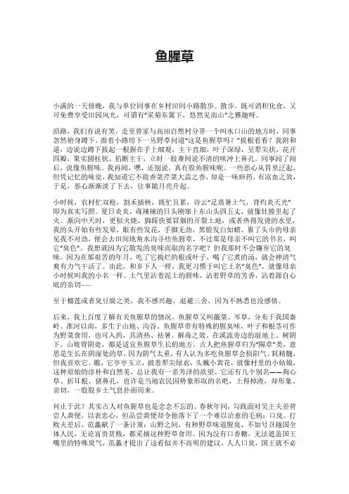 鱼腥草