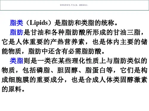 营养学基础大营养物质脂肪糖类