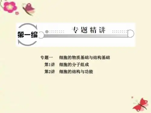 【状元桥】2016届高三生物二轮复习 专题精讲一 细胞的物质基础与结构基础 第1讲 细胞的分子组成课件