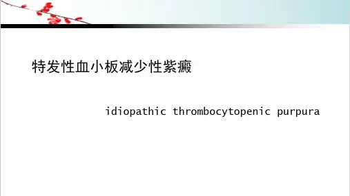 出血性疾病-课件