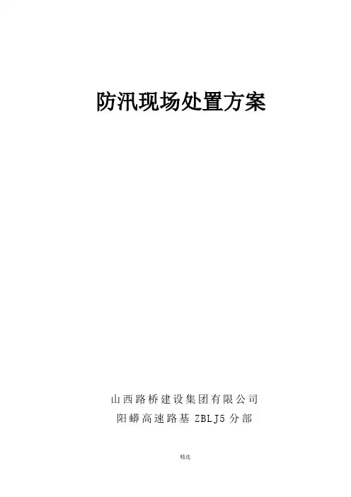 防汛现场处置方案 2