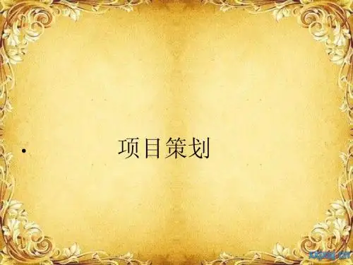 项目策划