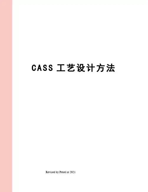 CASS工艺设计方法